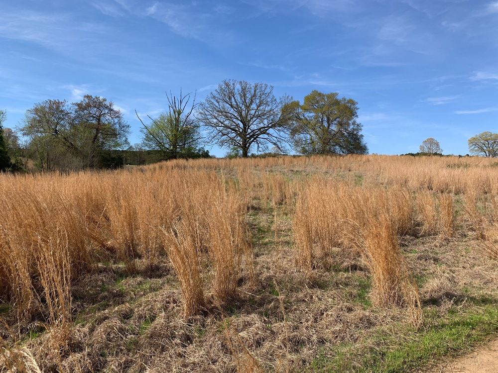 TBD Pleasant View Rd: TBD Pleasant View Rd, Ozark, AR 72949